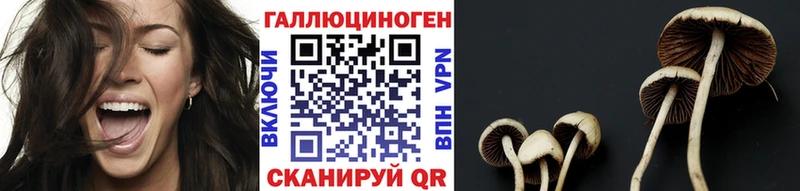 где можно купить   kraken зеркало  Галлюциногенные грибы Cubensis  Тимашёвск 