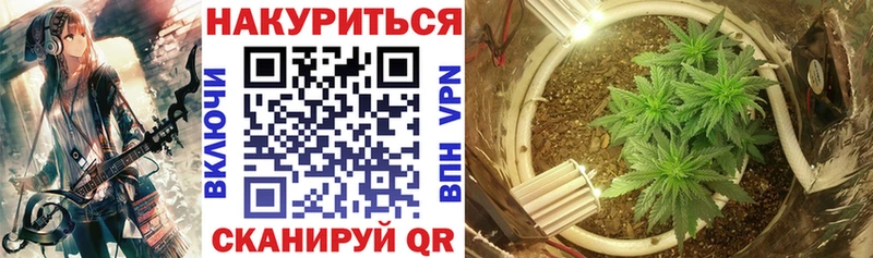Шишки марихуана THC 21%  Тимашёвск 
